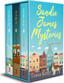 Sandie James Mysteries Box Set Read online