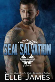 SEAL SALVATION (Brotherhood Protectors Colorado Book 1) Read online