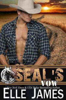 SEAL's Vow (Iron Horse Legacy Book 4) Read online