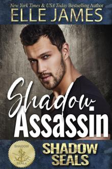 Shadow Assassin Read online