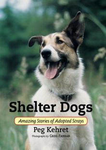 Shelter Dogs Read online