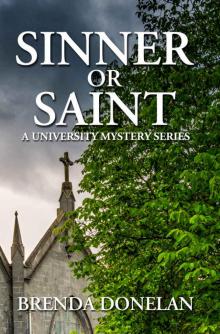 Sinner or Saint Read online