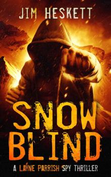 Snow Blind Read online