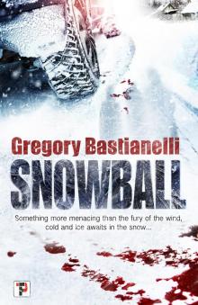 Snowball Read online