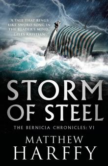 Storm of Steel Read online
