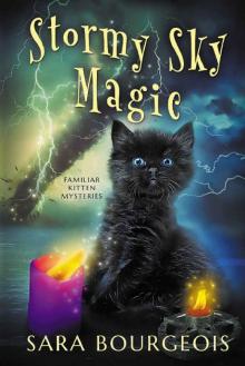 Stormy Sky Magic (Familiar Kitten Mysteries Book 9) Read online