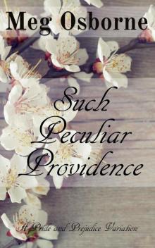 Such Peculiar Providence Read online