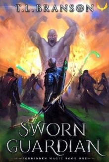Sworn Guardian: A LitRPG/GameLit Adventure (Forbidden Magic Book 1) Read online