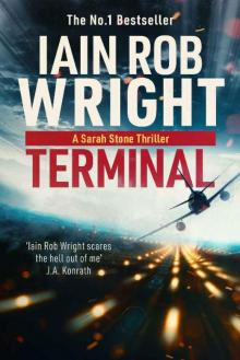 Terminal (Major Crimes Unit Book 4)