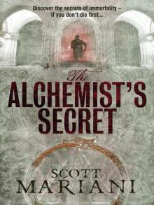 The Alchemist's Secret Read online