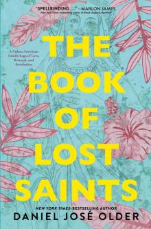 The Book of Lost Saints Read online
