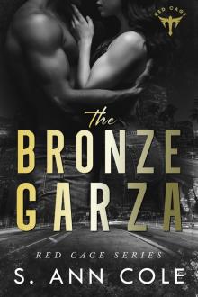 The Bronze Garza Read online