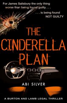 The Cinderella Plan Read online