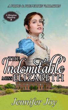 The Indomitable Miss Elizabeth Read online