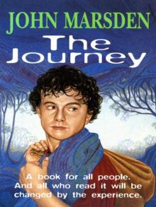 The Journey Read online