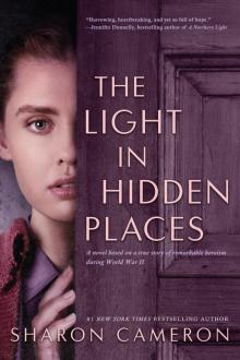 The Light in Hidden Places Read online