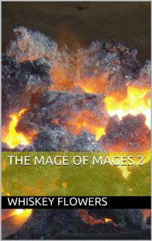 The Mage of Mages 2 Read online