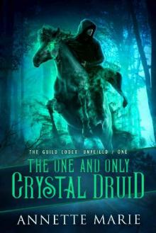 The One and Only Crystal Druid (The Guild Codex: Unveiled Book 1) Read online