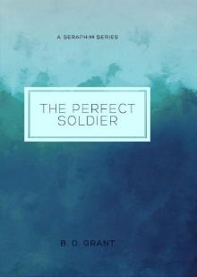 The Perfect Soldier Read online