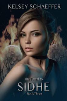 The Portal to Sidhe: Book 3