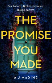 The Promise You Made Read online