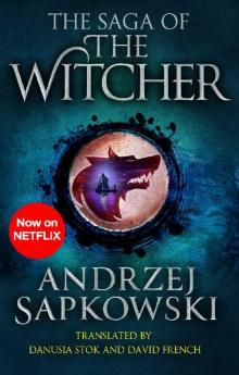 The Saga of the Witcher Read online