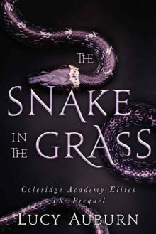 The Snake in the Grass (Coleridge Academy Elites Book 0) Read online