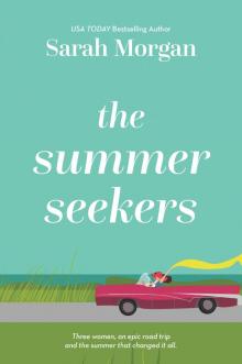The Summer Seekers Read online