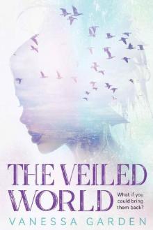 The Veiled World Read online