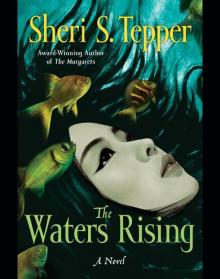 The Waters Rising Read online