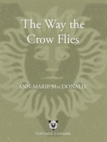 The Way the Crow Flies Read online