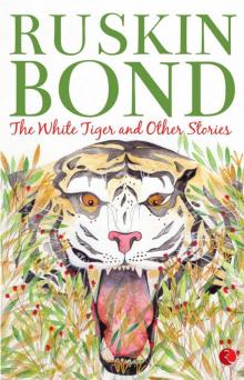 The White Tiger and Other Stories Read online