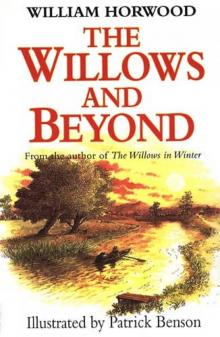 The Willows and Beyond Read online
