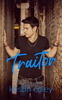 Traitor (Southern Rebels MC Book 3) Read online