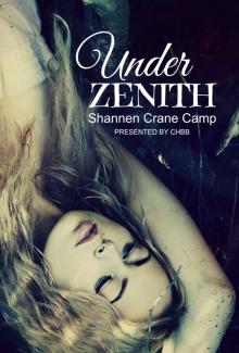Under Zenith Read online