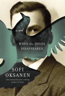 When the Doves Disappeared: A Novel Read online