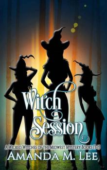 Wicked Witches of the Midwest Mystery Box Set Read online