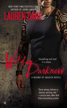 Wild Darkness (A Bound By Magick Novel)