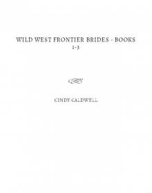 Wild West Frontier Brides Boxed Set Vol 1 Read online