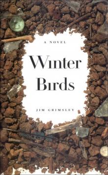 Winter Birds Read online
