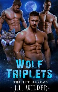 Wolf Triplets (Triplet Harems Book 3) Read online