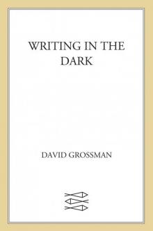 Writing in the Dark Read online