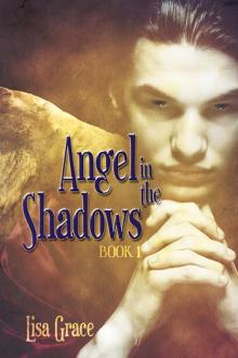 Angel in the Shadows, Book 1 by Lisa Grace (Angel Series) Read online