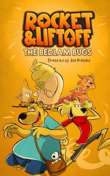 Rocket &amp; Liftoff &ndash; The Bedlam Bugs