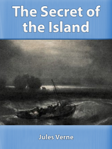 The Secret of the Island Read online