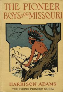 The Pioneer Boys of the Mississippi; or, The Homestead in the Wilderness