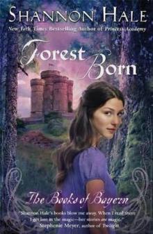 The Lady of the Forest: A Story for Girls