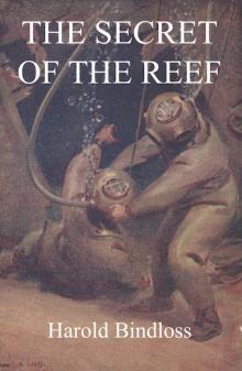 The Secret of the Reef Read online