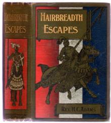 Hair-Breadth Escapes: The Adventures of Three Boys in South Africa Read online