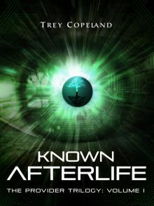 Known Afterlife (The Provider Trilogy: Volume I) Read online